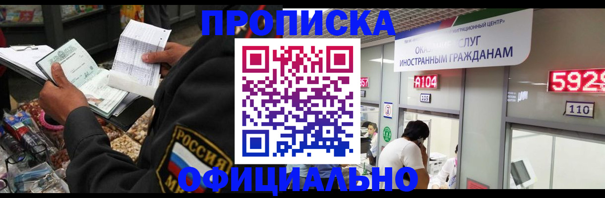прописка 2025 в Сольцах